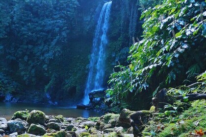 São Miguel: Majestic North Tour