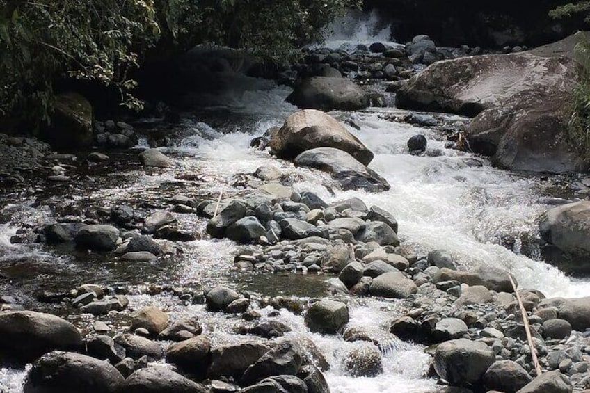 Natural landscape