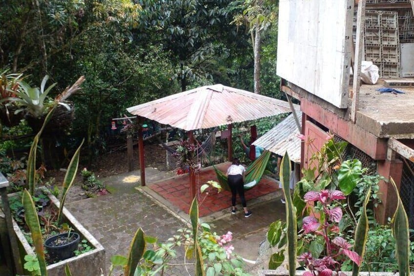 Hammock Area