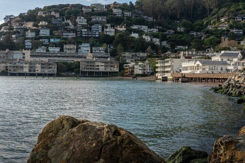 Private Tour of John Muir Redwoods and Sausalito