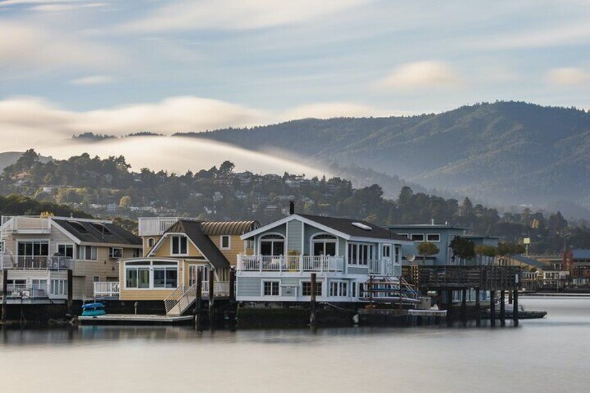 Private Tour of John Muir Redwoods and Sausalito