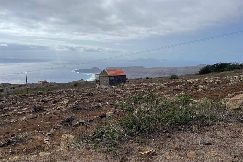 Tea House in Monte Verde