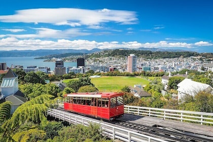 Full Day Private Tour Sightseeing Wellington Including Pickup