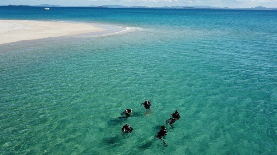 Safe ocean dives with qualified Instructors