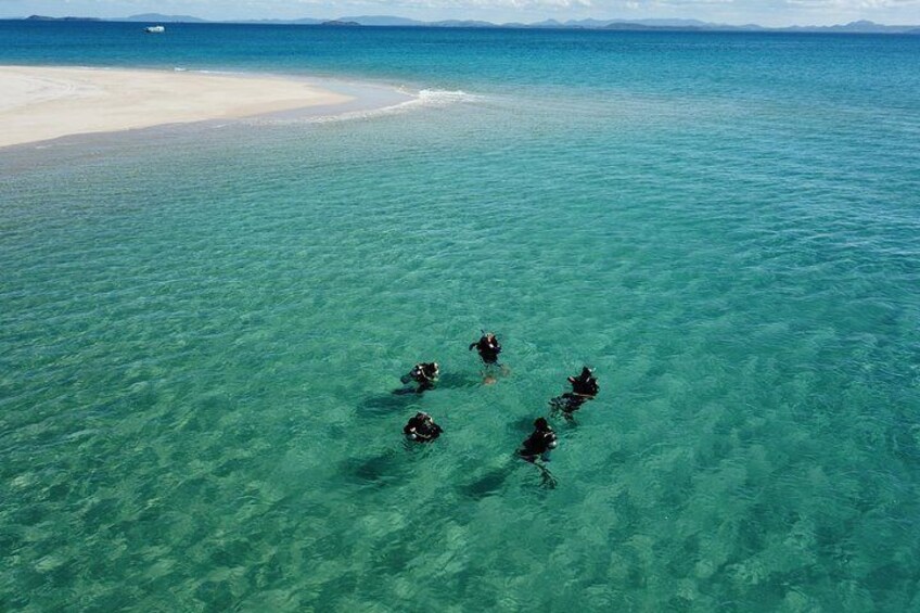 Safe ocean dives with qualified Instructors