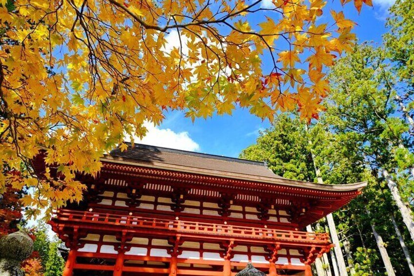 Day Trip to Sacred Sites at Koyasan from Kyoto