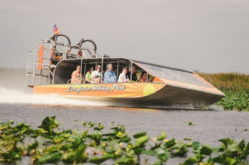 Miami Panoramic Bus Tour, Bayside Cruise and Everglades Experiences 