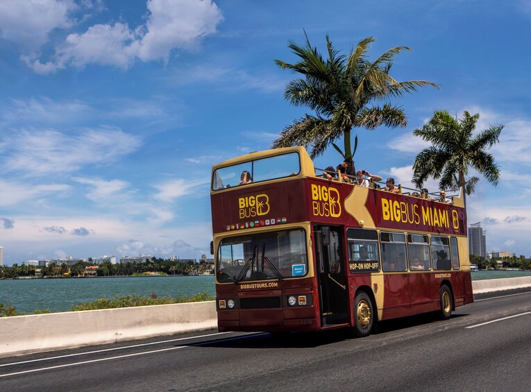 Miami Panoramic Bus Tour, Bayside Cruise and Everglades Experiences 