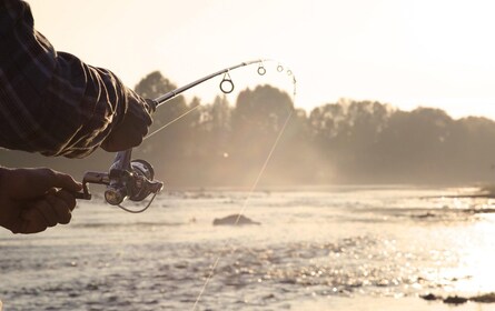 Rovaniemi: tour de pesca de verano en la naturaleza ártica y barbacoa