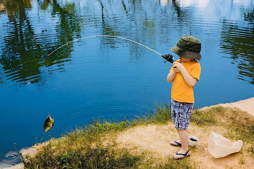 Picture 5 for Activity Rovaniemi: Summer Fishing Tour in Arctic Nature & BBQ