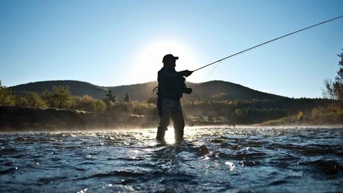 Rovaniemi: tour de pesca de verano en la naturaleza ártica y barbacoa