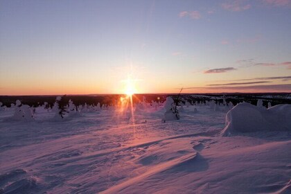 3-tägige Tour in Lappland