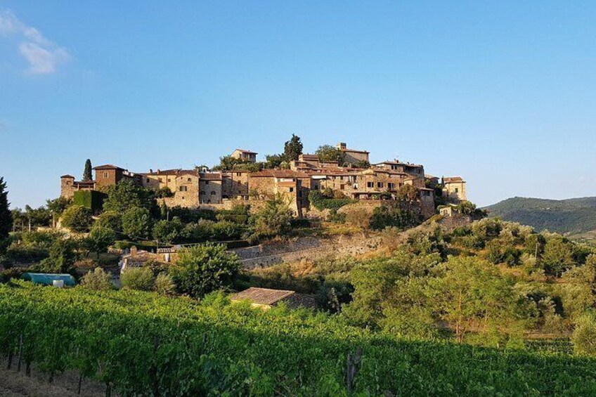 Montefioralle Winery - Tour and Wine Tasting in Chianti