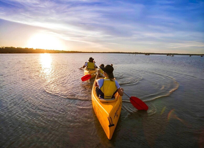 Picture 4 for Activity Rovaniemi: Arctic Canoeing Trip & Barbeque