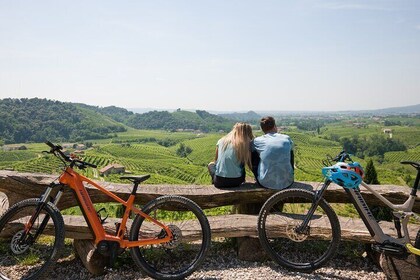 E-bike tour amongst UNESCO listed Prosecco Hills and vineyards