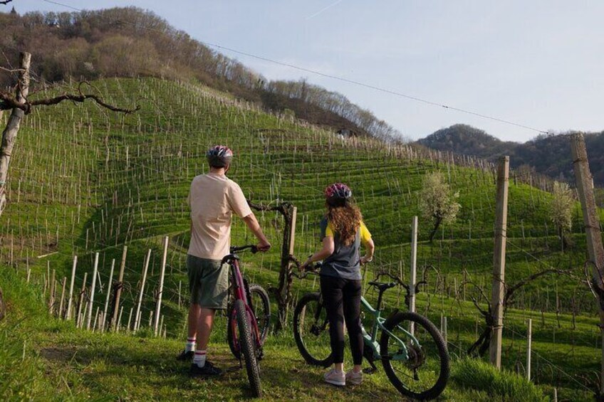 Tour among the UNESCO vineyards and Prosecco hills by e-bike