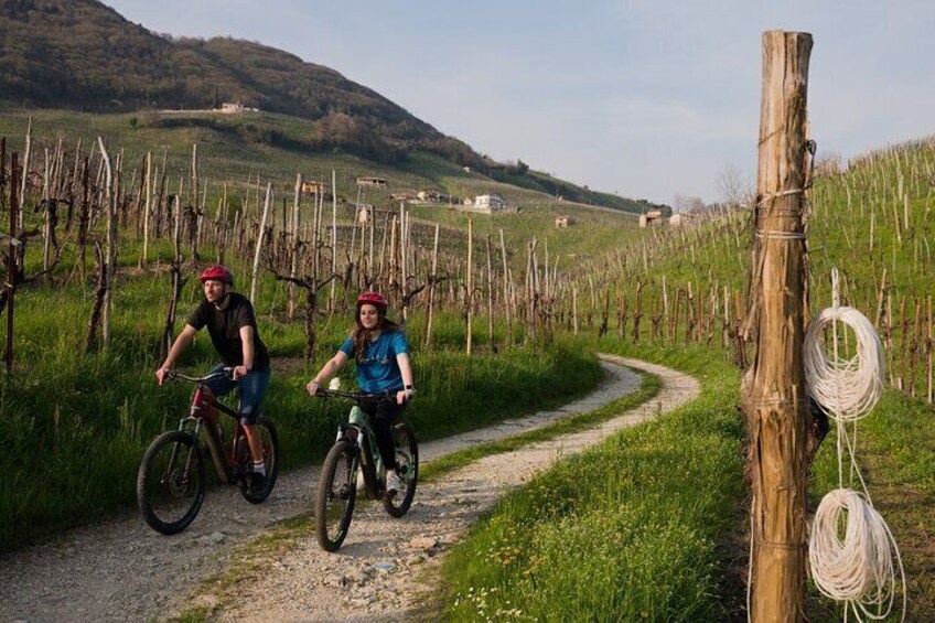 Tour among the UNESCO vineyards and Prosecco hills by e-bike