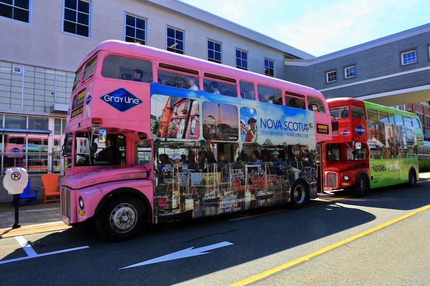 Picture 1 for Activity Halifax: Hop-on Hop-Off Double Decker Bus City Tour