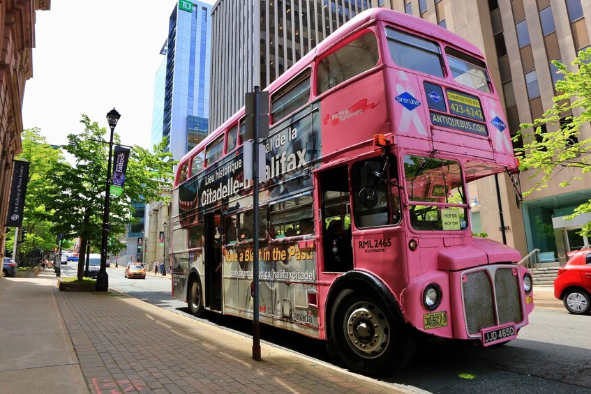 Halifax: Hop-on Hop-Off Double Decker Bus City Tour