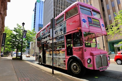 Halifax: Hop-on Hop-Off Double Decker Bus City Tour