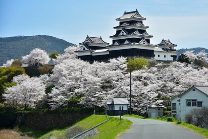 Ozu Private Customizable Full Day Tour