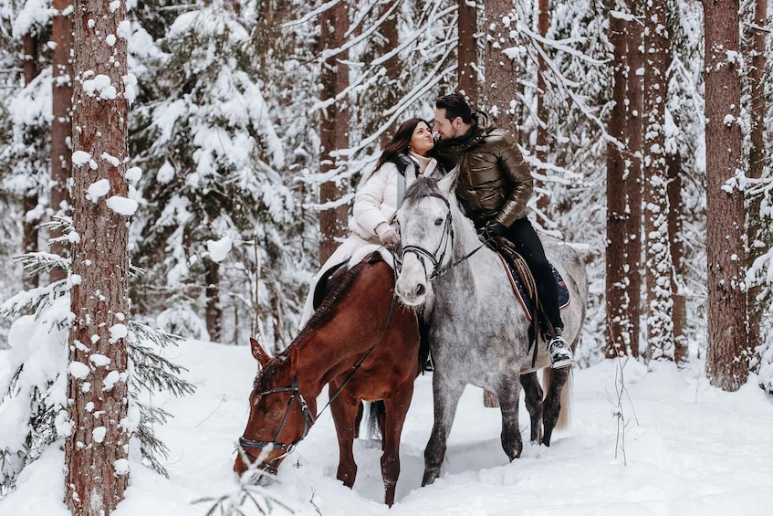 Picture 2 for Activity Rovaniemi: Winter Horse Riding in Arctic Nature