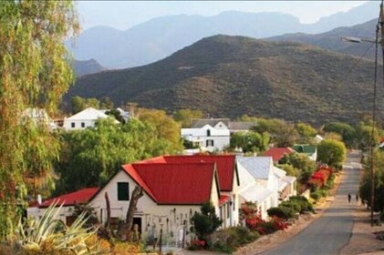 Swartberg Pass, Prince Albert, Waterfall, Olive tasting and lunch