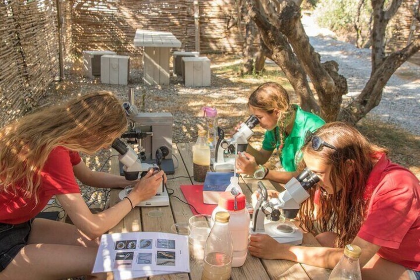 Discover intriguing life under the microscope after your dives in the shade of our olive grove.