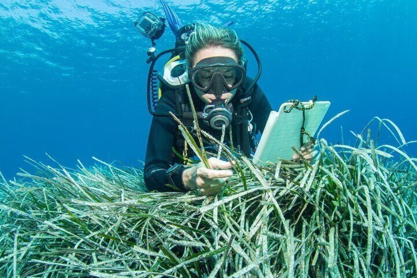 Our marine biologists will teach you fascinating facts about the different underwater biomes. 