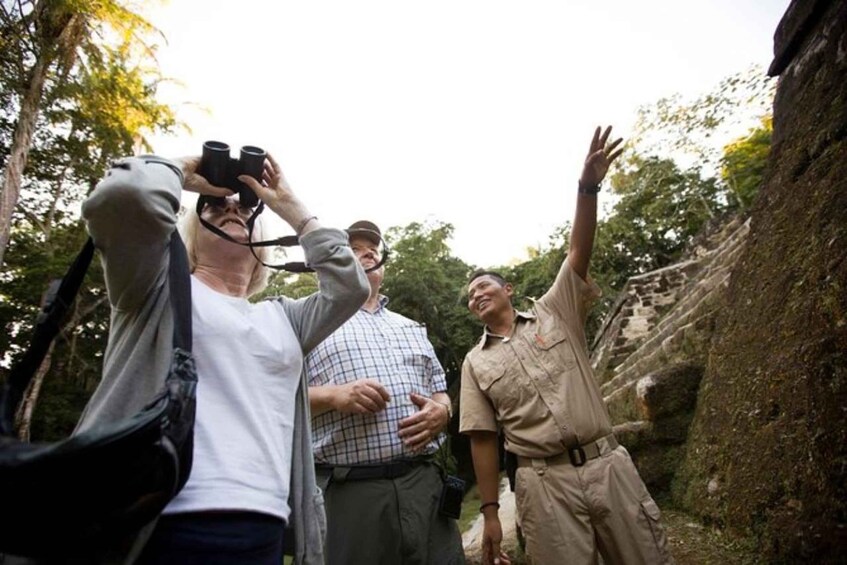 Picture 4 for Activity Placencia: Xunantunich Maya Ruin & Blue Hole Tour