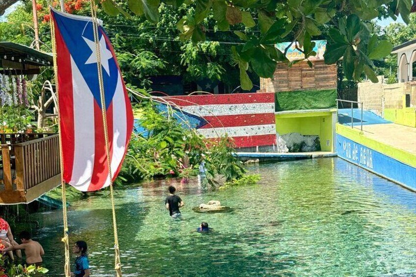 Beach And Natural Springs Experience From San Juan 