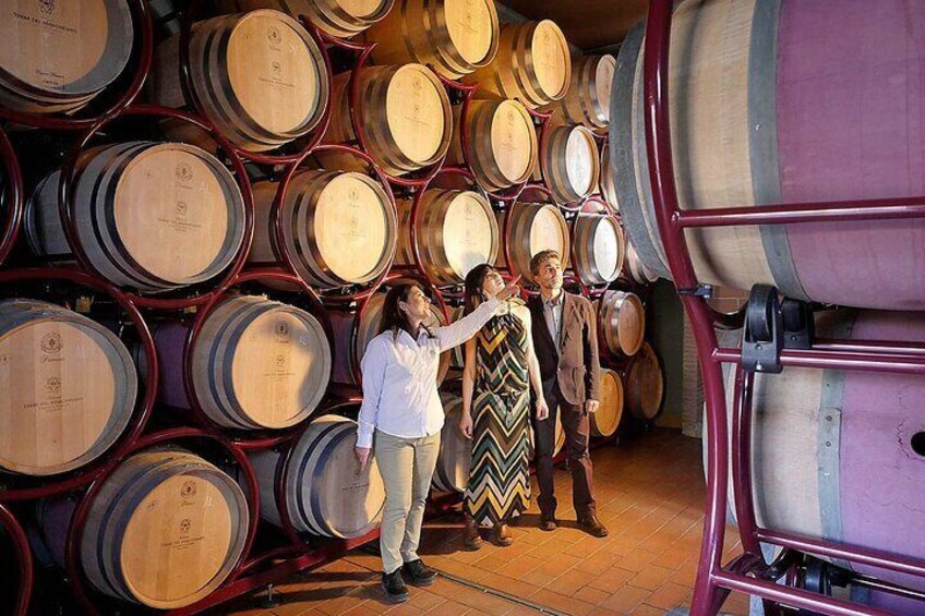 Verticale Aldone Wine Tasting and Winery Tour in Bolgheri