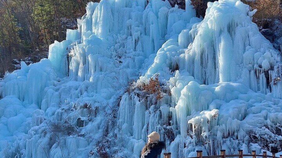 Eobi Ice Valley Nami Island and Gangchon Rail Park Seoul