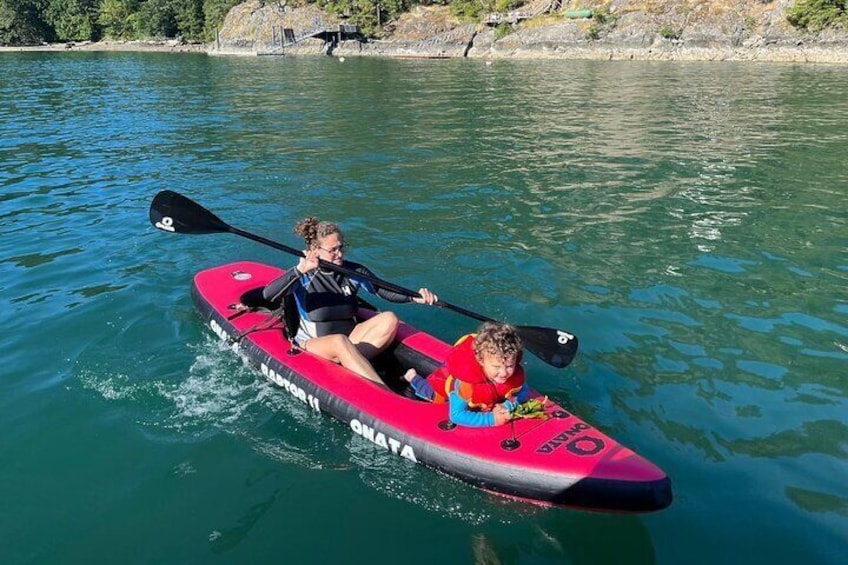 Snorkeling with Seals Paddling Sightseeing Boat Tour in Vancouver