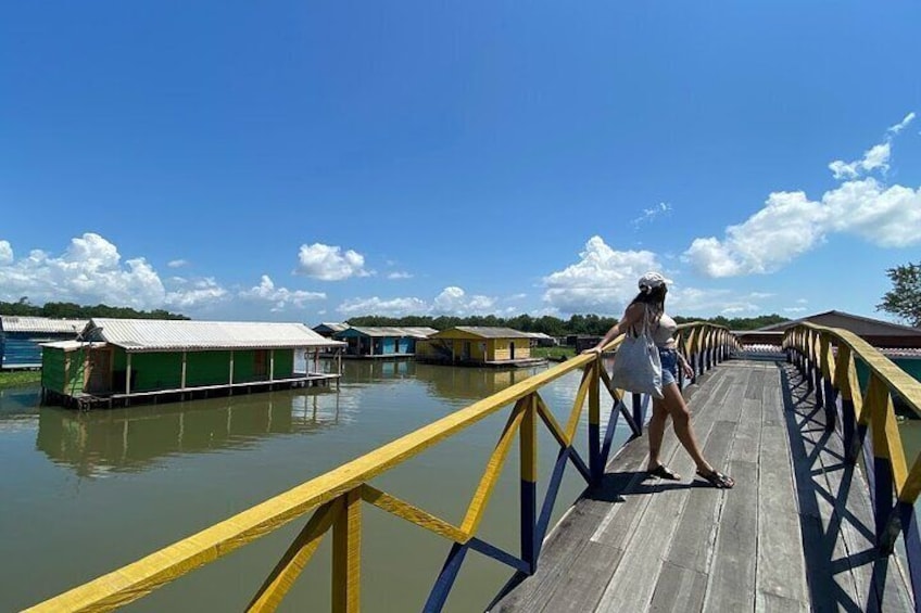 Full Day Guided Tour in Cienaga Grande of Santa Marta