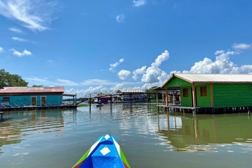 Full Day Guided Tour in Cienaga Grande of Santa Marta