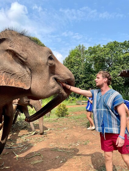 Picture 4 for Activity Chiang Mai: Elephant Dream Project Sanctuary - Full Day