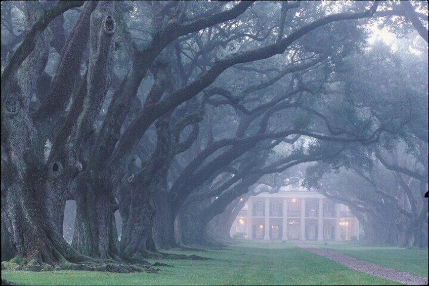 Oak Alley Plantation Half Day Tour