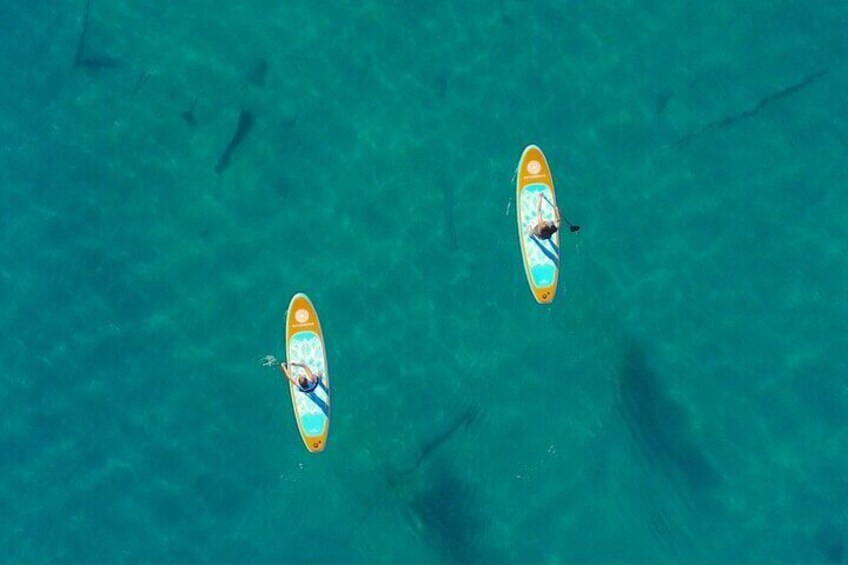 Paddle boarding Lake Mead