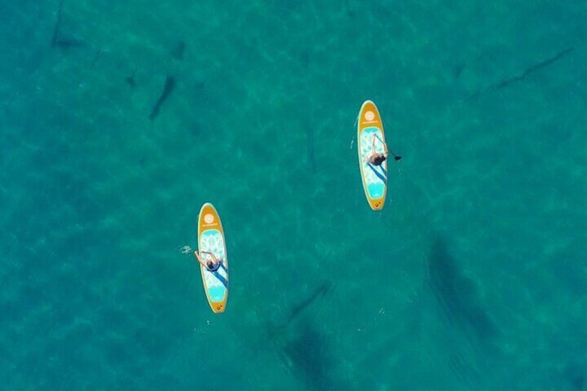 Paddle boarding Lake Mead