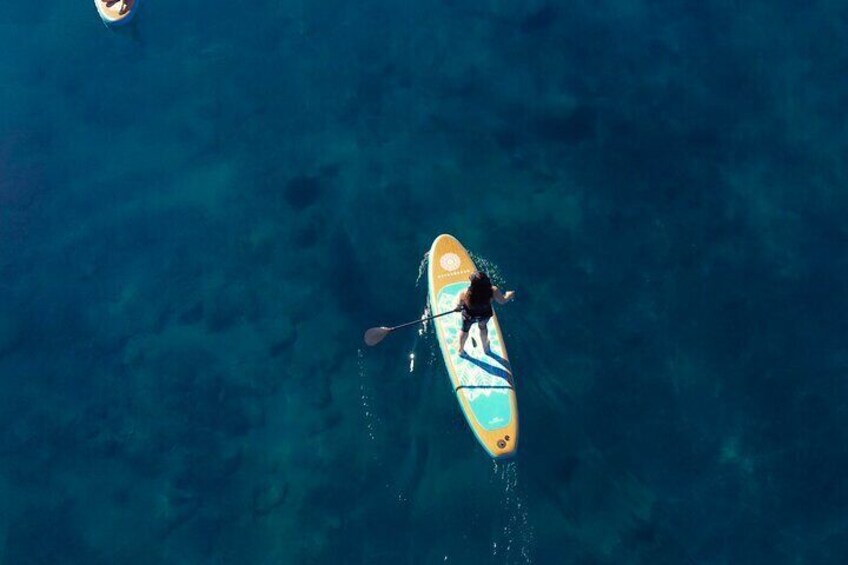 Paddleboard tour