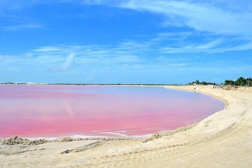 Rio Lagartos Tour Picture the Wondeful Pink Waters and Boat Ride