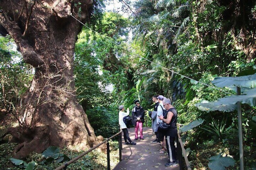 Okinawa Local Experience and Sunset Private Cycling Tour