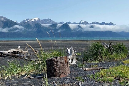 Tonsina Beach Hike with Seward Guided Hikes