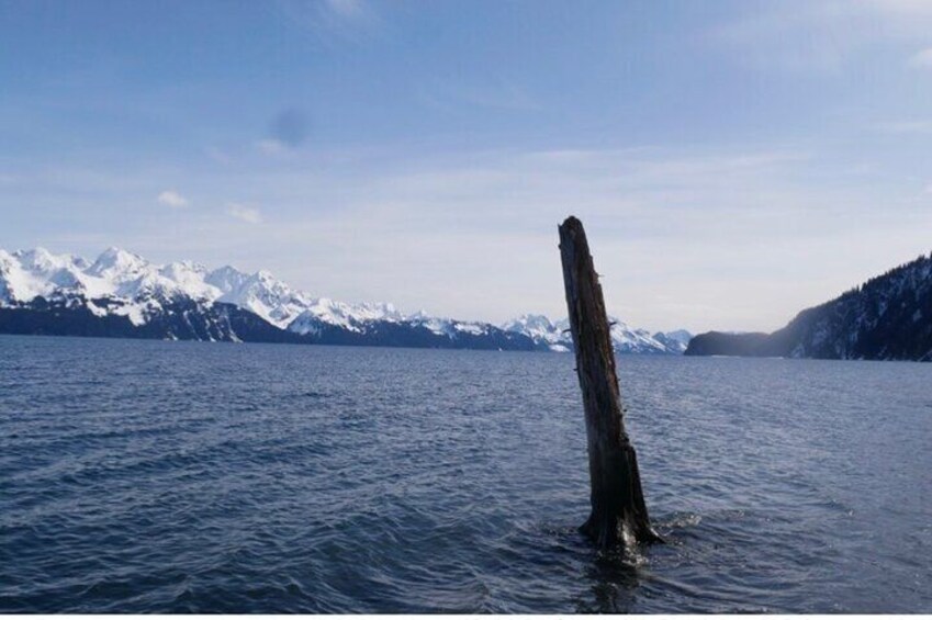 Tonsina Beach Hike with Seward Guided Hikes