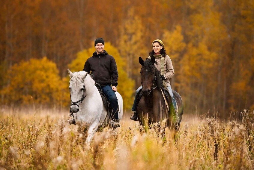 Picture 1 for Activity Rovaniemi: Horse Riding in Arctic Wilderness
