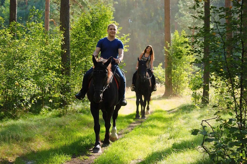 Picture 4 for Activity Rovaniemi: Horse Riding in Arctic Wilderness