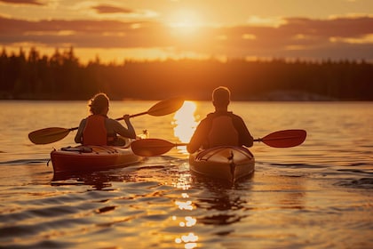 Rovaniemi: Midnight Sun Canoeing Tour & Barbeque