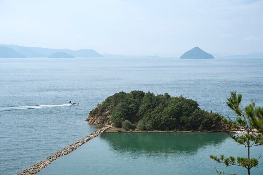 Naoshima Island Custom Full Day Tour