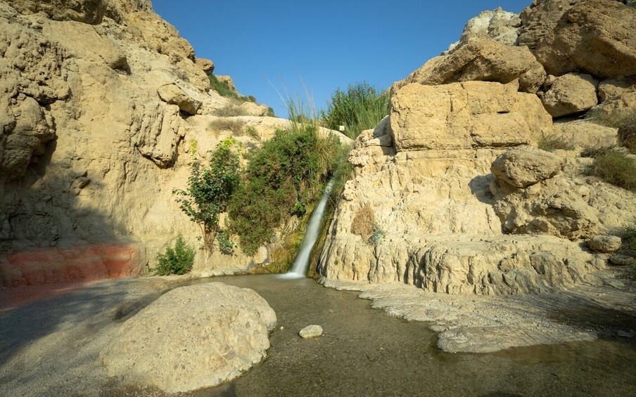 Masada Sunrise, Ein Gedi, and Dead Sea tour